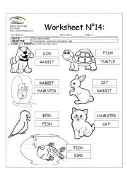 English Worksheet: PETS