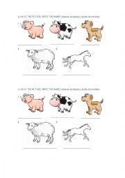 English Worksheet: ANIMALS NAMES