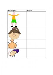 English Worksheet: Body Parts