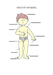 English Worksheet: Parts of the body