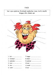 English Worksheet: Face