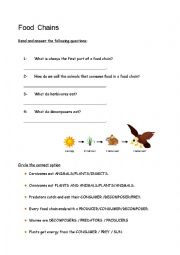 English Worksheet: THE FOOD CHAIN