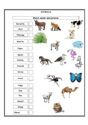 English Worksheet: ANIMALS