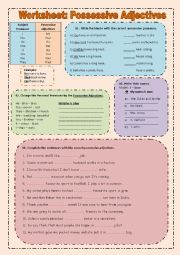 English Worksheet: Possessive adjectives