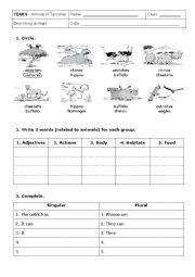 English Worksheet: Describing animals