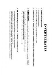 English Worksheet: GROUPS OF INVERTEBRATES