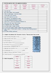 English Worksheet: Personality adjectives 