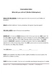 English Worksheet: INTERMEDIATE SALON - WHAT DID YOU CALL ME? (SIMILES & METAPHORS)