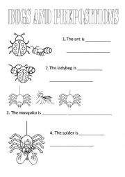 English Worksheet: BUGS AND PREPOSITIONS