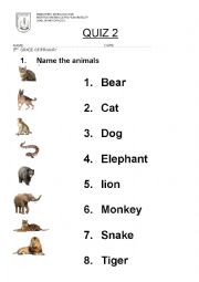 ANIMALS AND VERBS