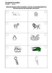 English Worksheet: zoo animals description