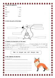 Animal ws for children - 2 pages