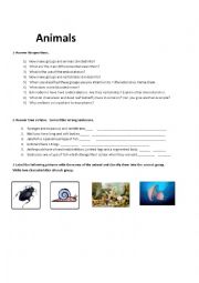 English Worksheet: revision vertebrates and invertebrates