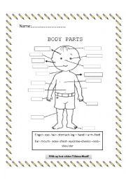 English Worksheet: (body parts) worksheet