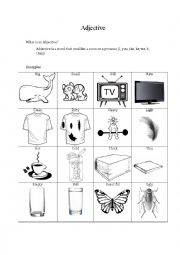English Worksheet: Adjective