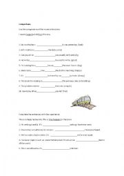 English Worksheet: Comparisons