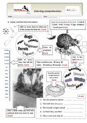 Listening - The kiwi in New Zealand + tape script + KEY