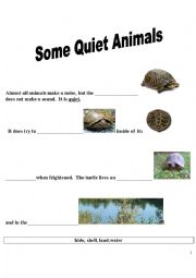 Some Quiet  Animals-1