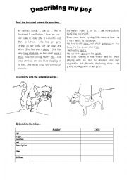 English Worksheet: PETS - Description / likes and dislikes