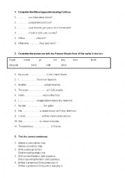 English Worksheet: the Present Simple
