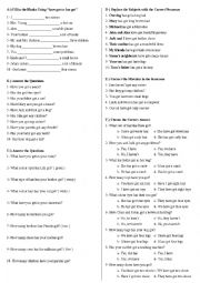 English Worksheet: Have/has got