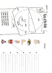 Face- trace/ colour