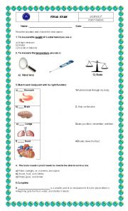 English Worksheet: SCIENCE EXAM