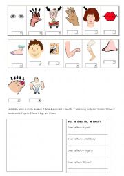 English Worksheet: Parts of the body