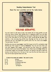 English Worksheet: Young giraffe