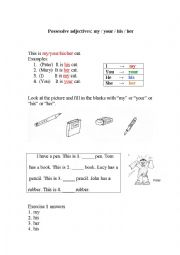 English Worksheet: Possessive adjectives: my / your / his / her