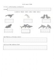 English Worksheet: sea animals