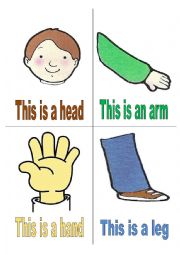 English Worksheet: Body bits