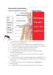 English Worksheet: Basic instruction about Dengee Fever