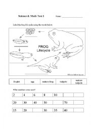 English Worksheet: 1st grade Science and Math Test