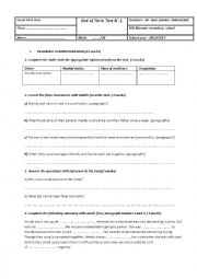 English Worksheet: End-Term Test N1