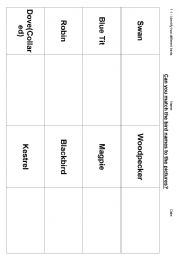 English Worksheet: Match the British bird worksheet