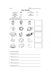 English Worksheet: FIVE SENSES