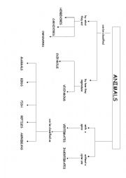 English Worksheet: ANIMALS CLASSIFICATION