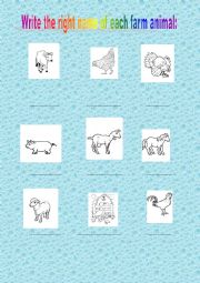 English Worksheet: farm animals