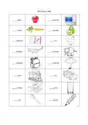 English Worksheet: Write A or An