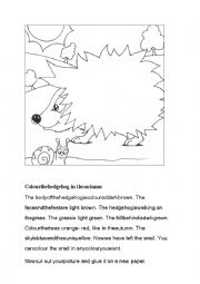 English Worksheet: Read and colour