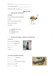 English Worksheet: Animals Test