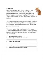 English Worksheet: Hamsters