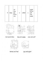 English Worksheet: Animals and their young