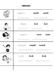 English Worksheet: SENSES