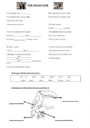 English Worksheet: The toucan song