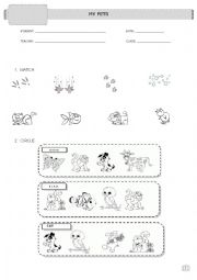 English Worksheet: MY PETS