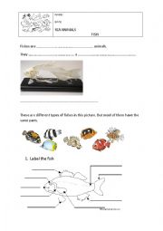 English Worksheet: Vertebrates: Fish