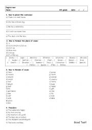 English Worksheet: Plural test