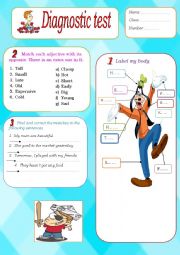 Diagnostic test 8th form